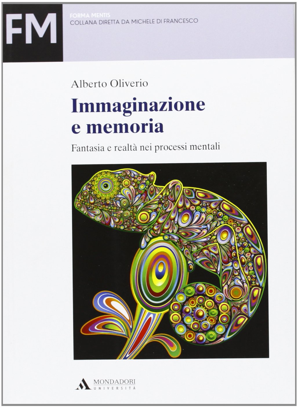 Immaginazione e memoria. Fantasia e realtà nei processi mentali book