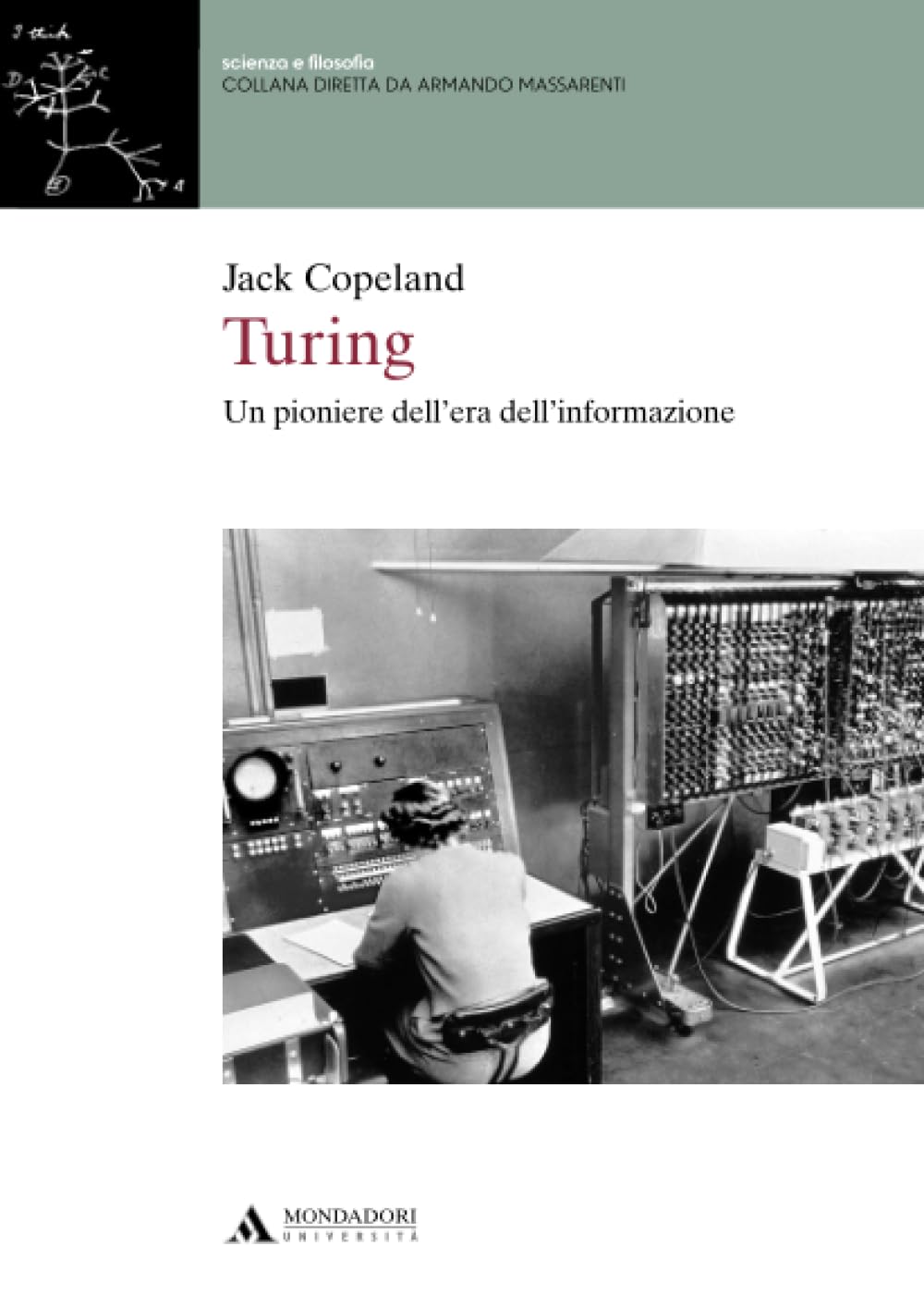 Turing: Un pioniere dell’era dell’informazione book