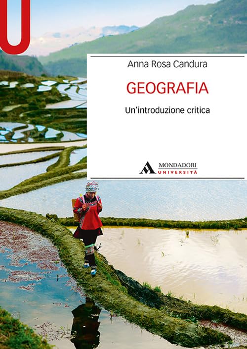 Geografia. Un'introduzione critica book