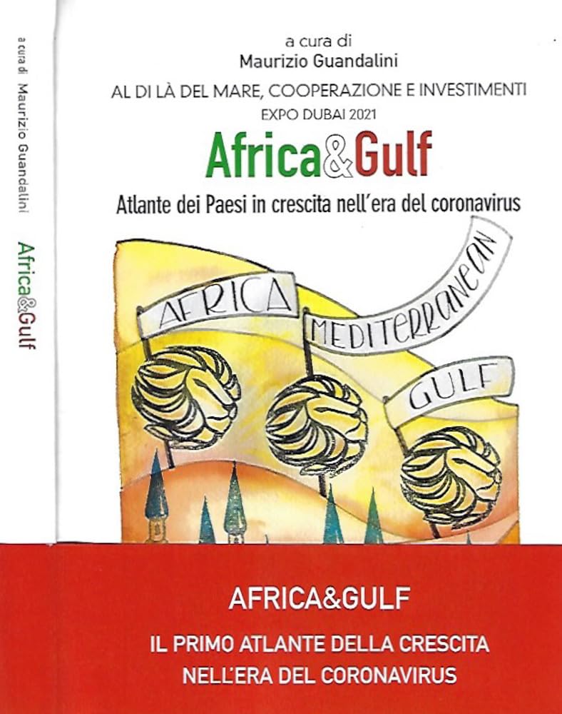 Africa e Gulf. Atlante dei Paesi in crescita nell’era del coronavirus book