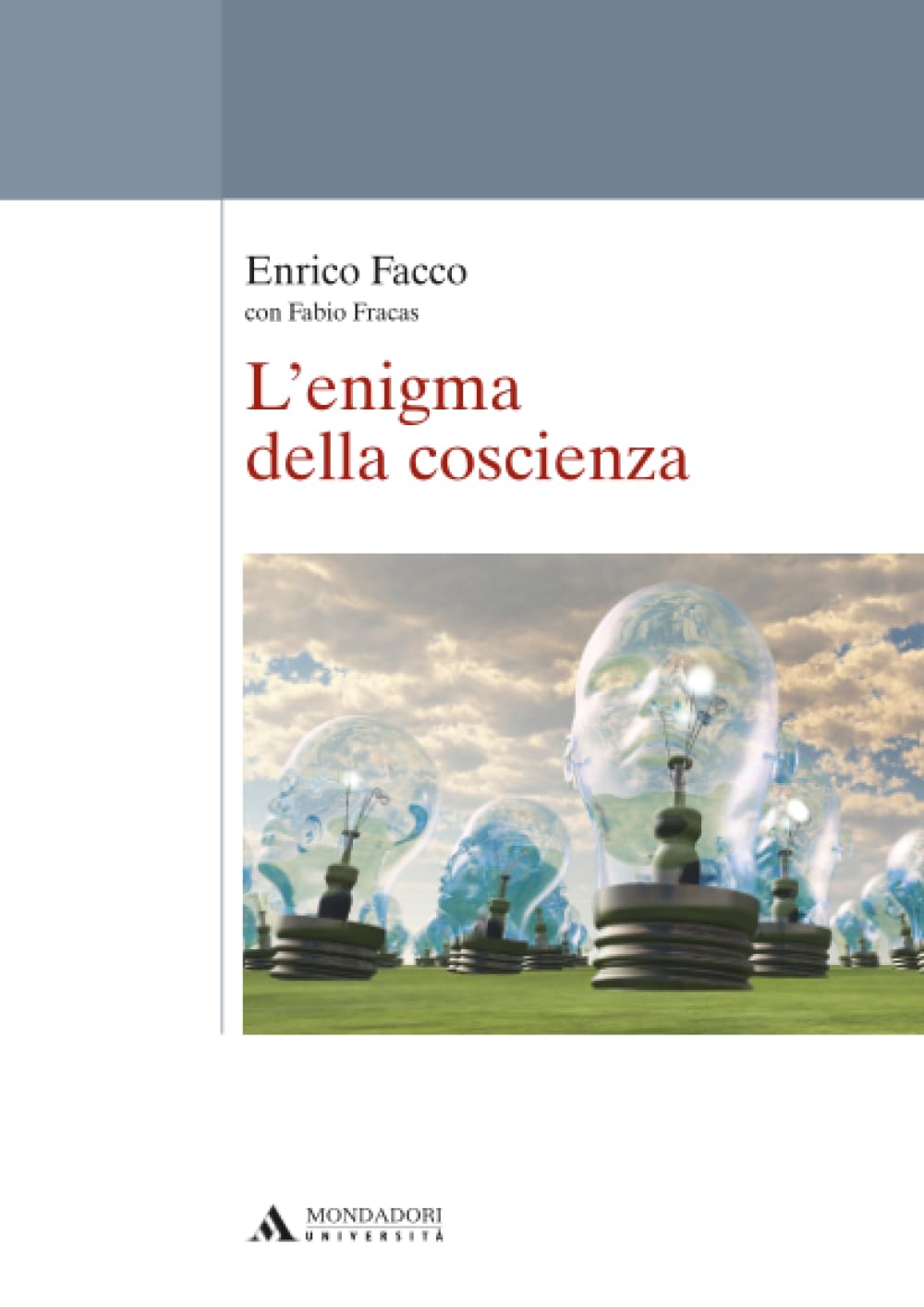 L' enigma della coscienza book