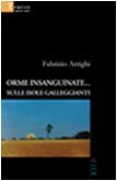 Orme insanguinate sulle isole galleggianti (Nuove voci) Contemporary literature