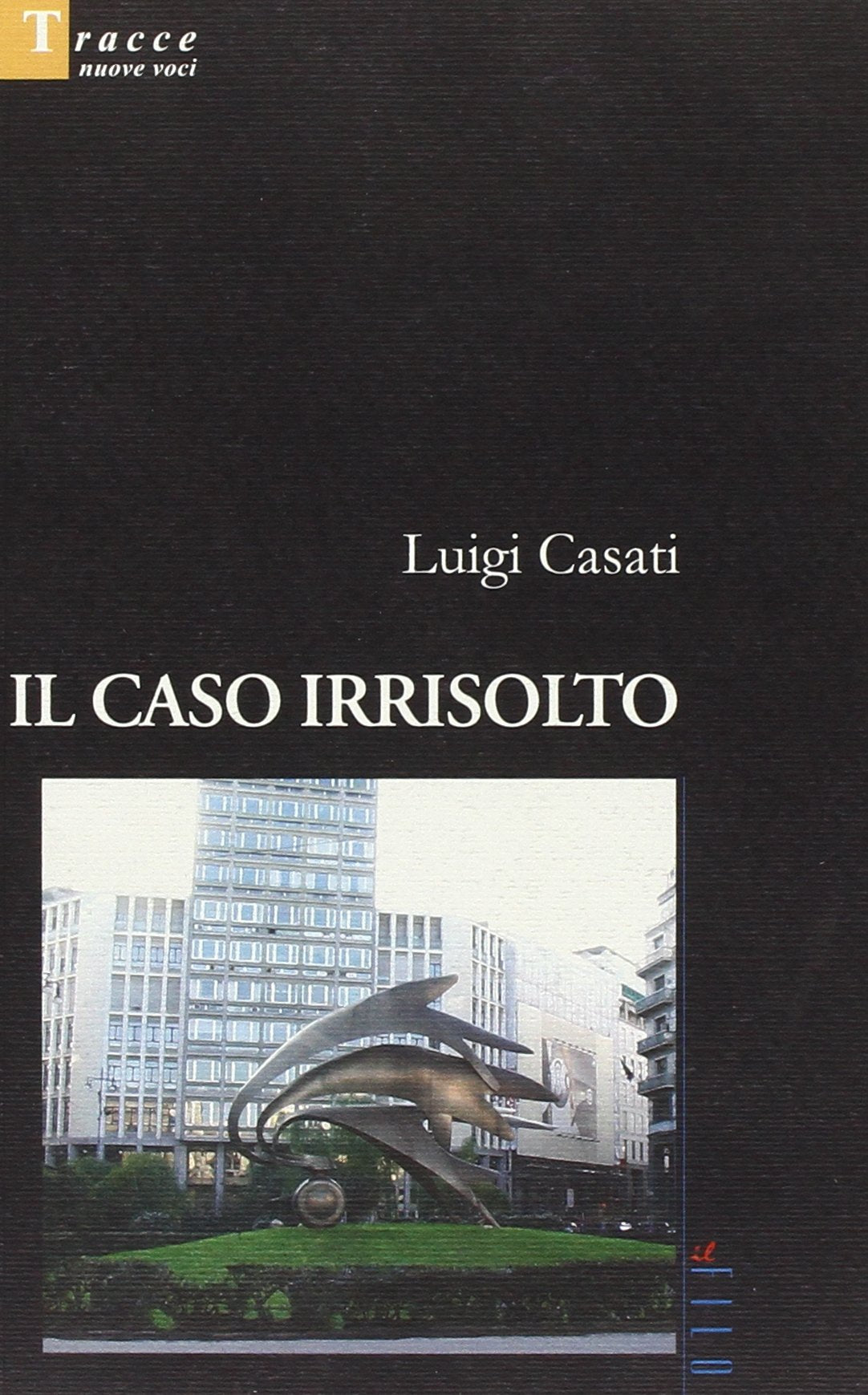 Il caso irrisolto book