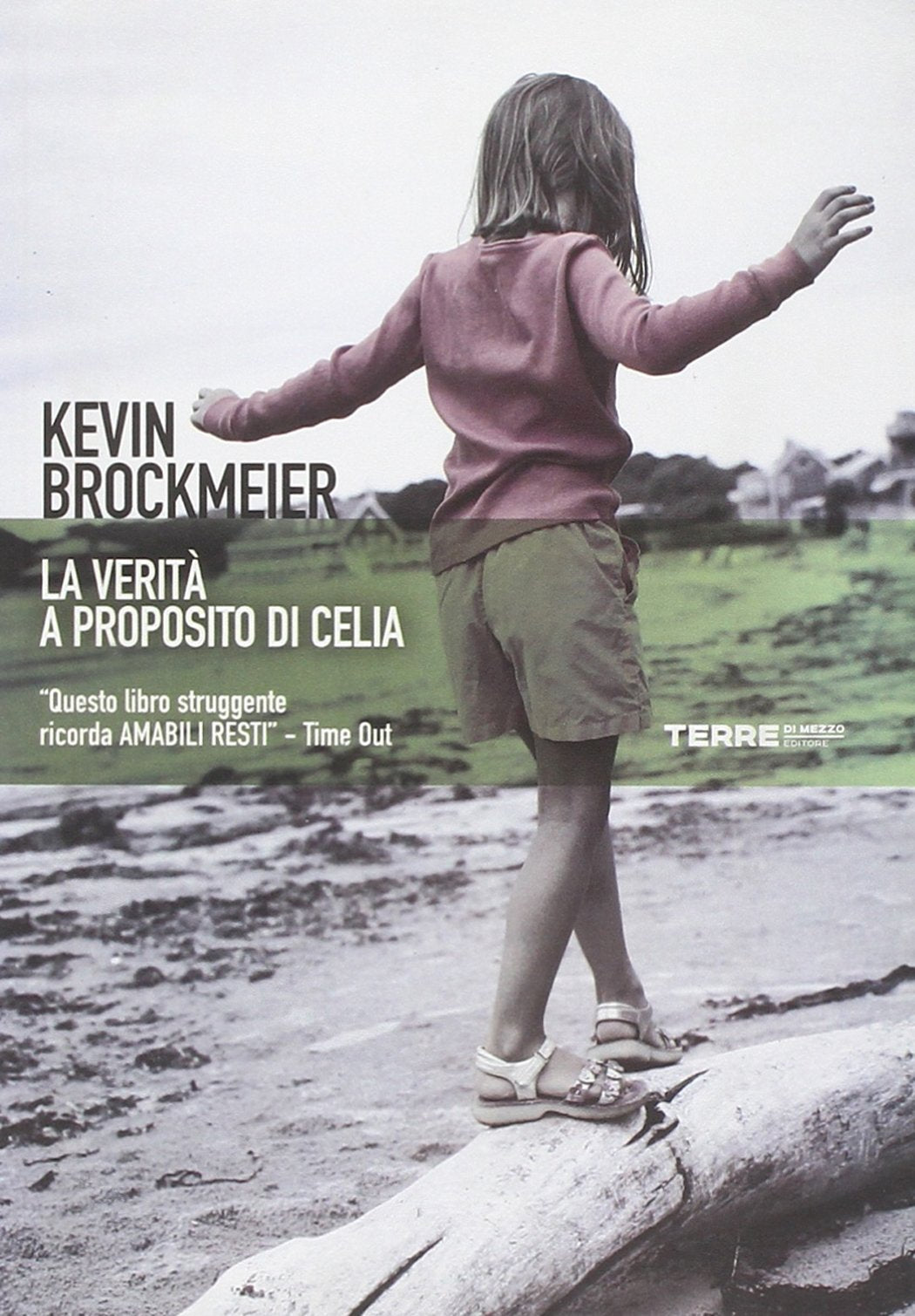 La verità a proposito di Celia book