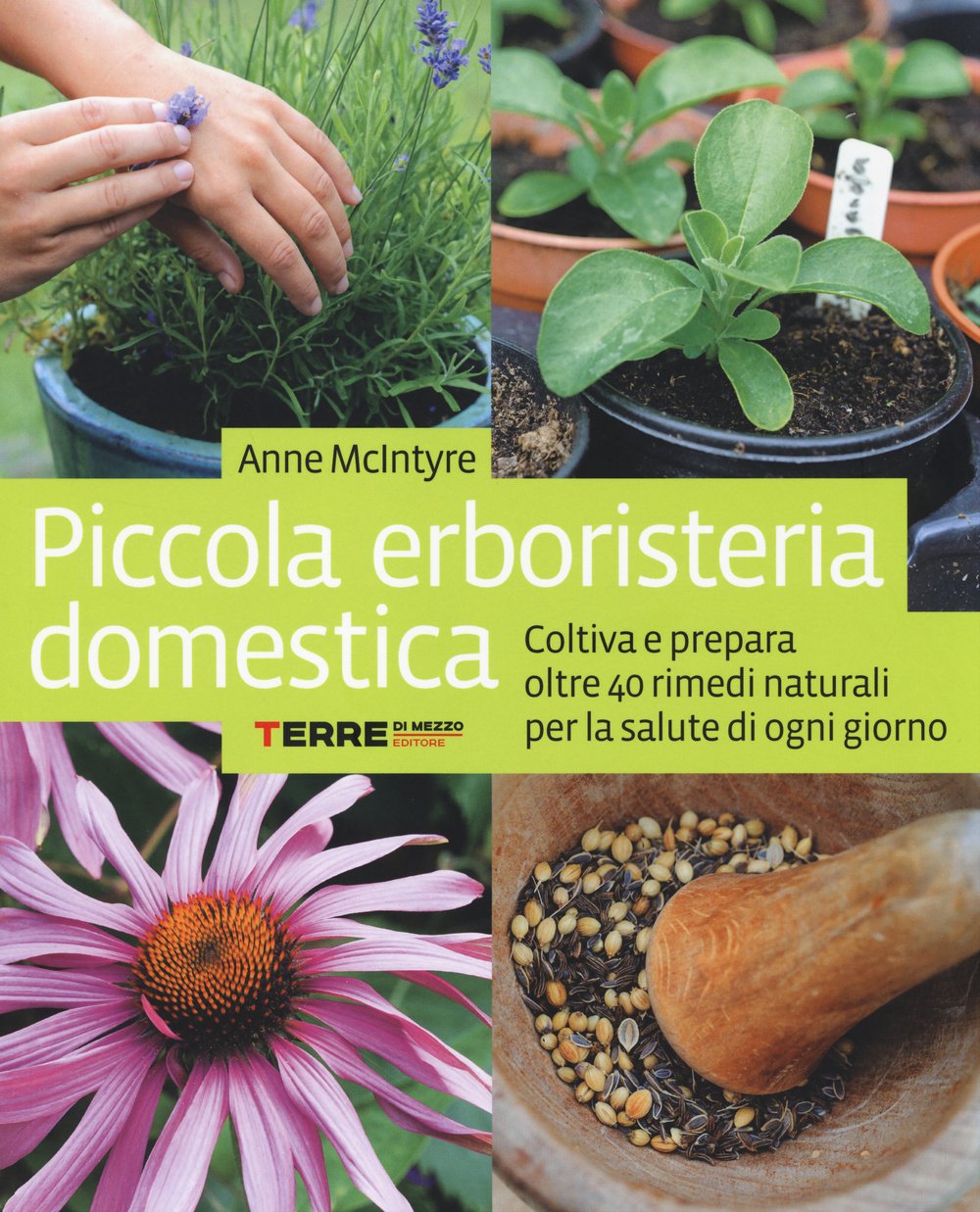 Piccola erboristeria domestica. Coltiva e prepara oltre 40 rimedi naturali per la salute di ogni giorno book
