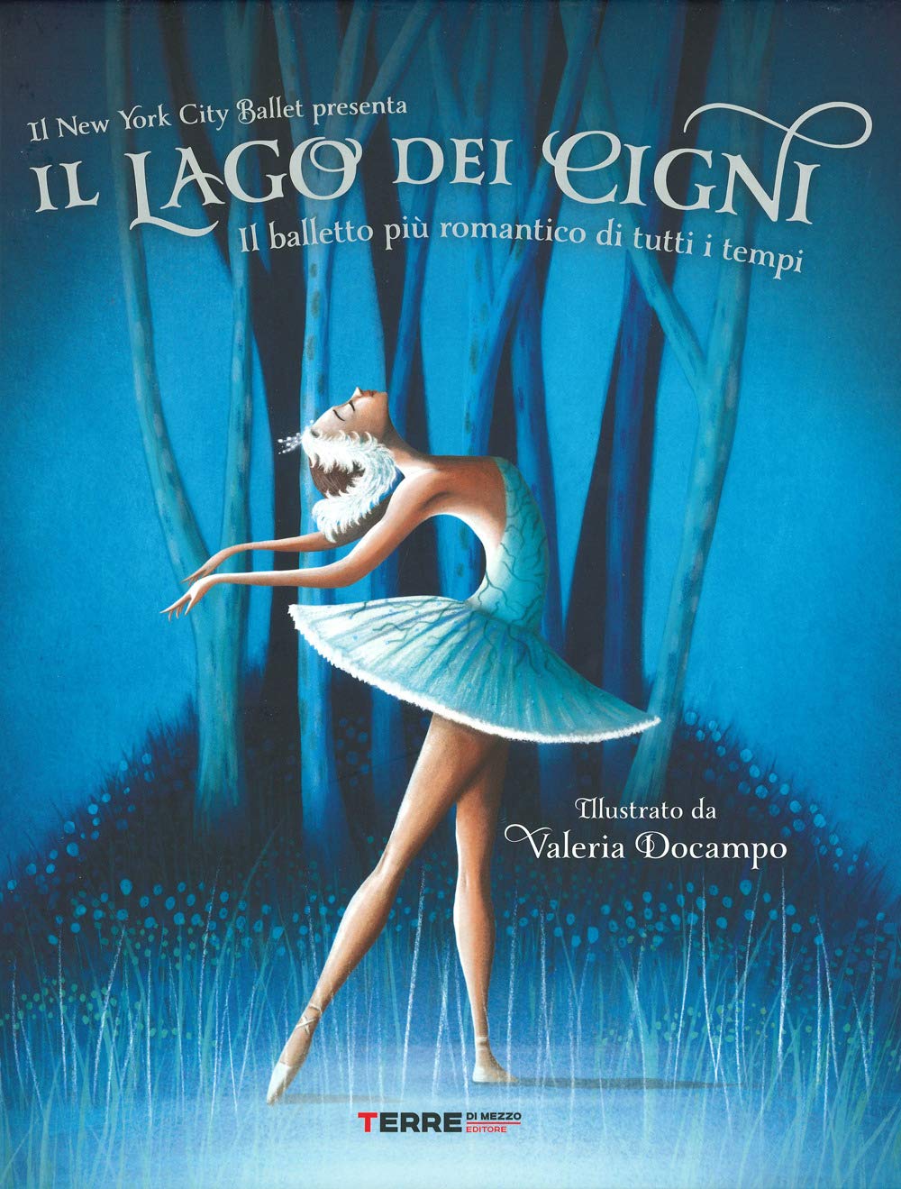 Il lago dei cigni. Ediz. a colori book