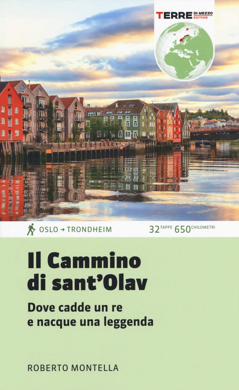 Il cammino di Sant'Olav. Dove cadde un re e nacque una leggenda book