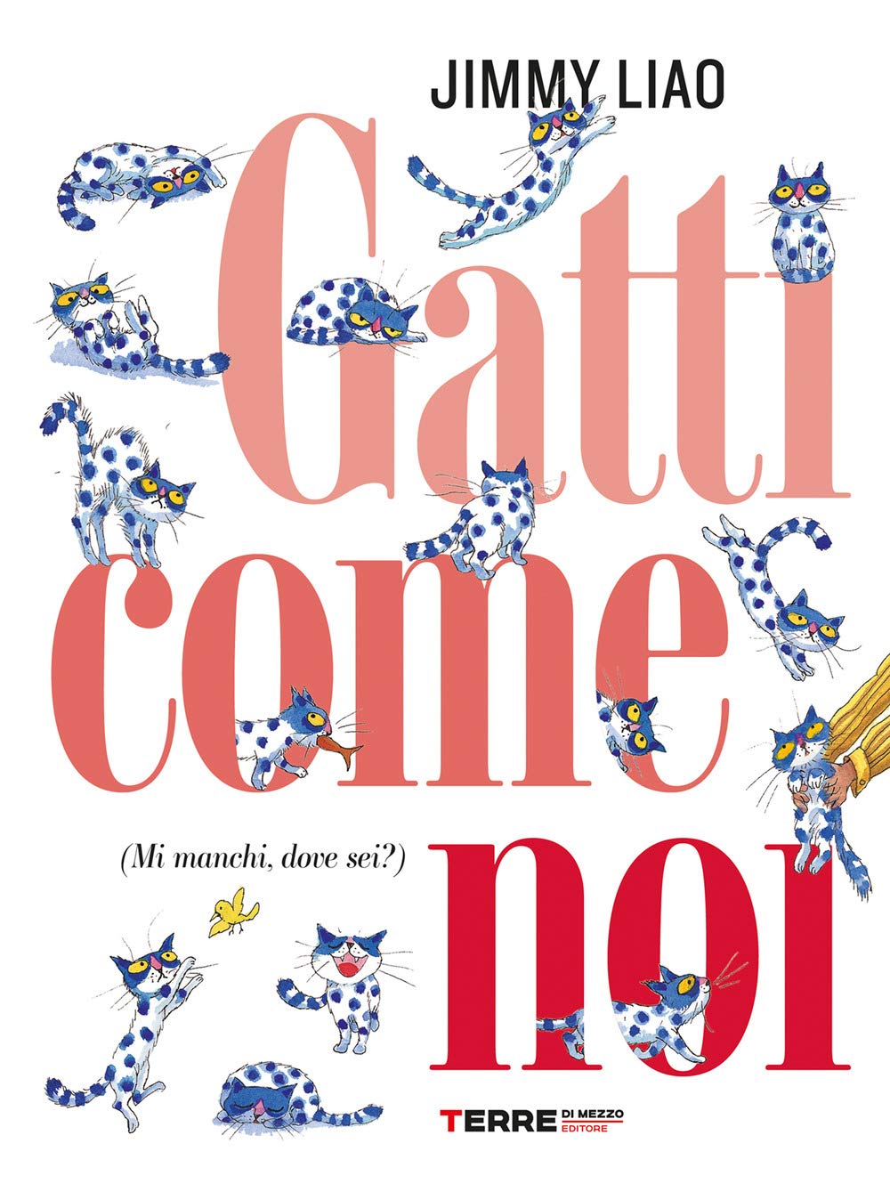Gatti come noi (mi manchi, dove sei?) book
