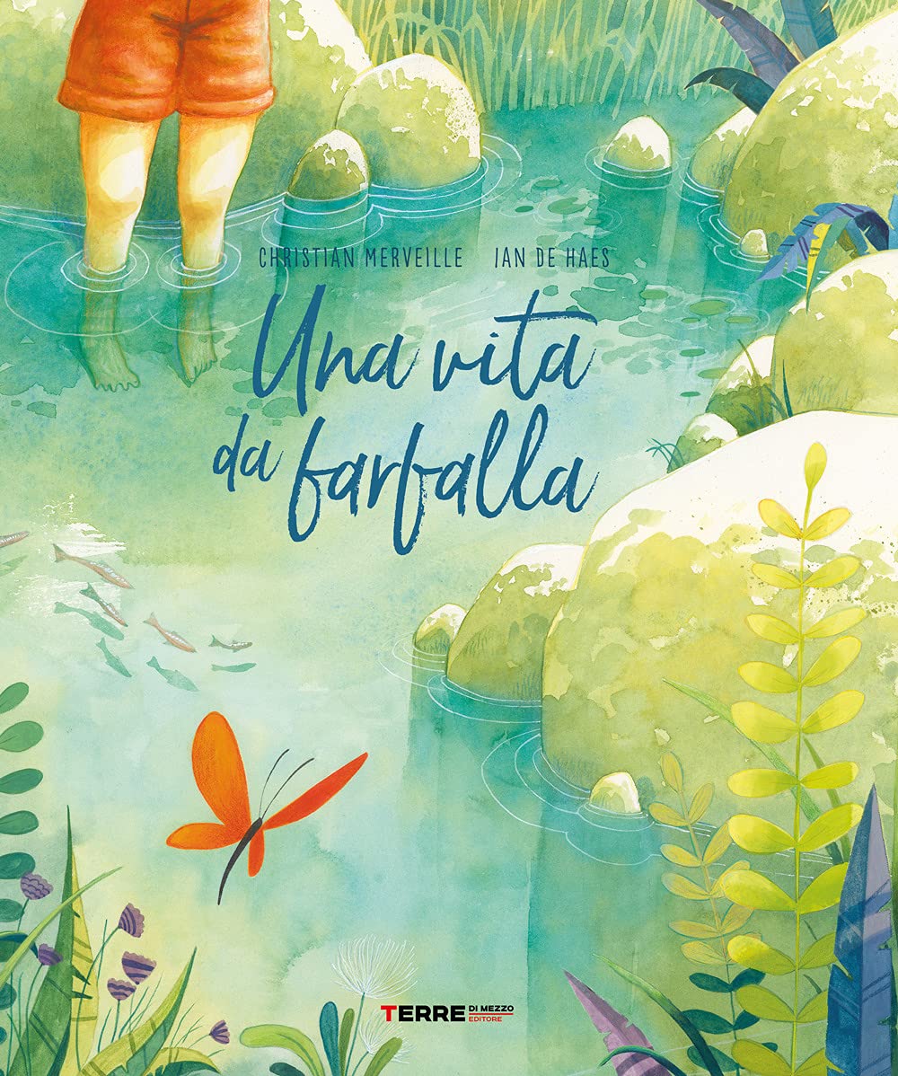 Una vita da farfalla. Ediz. a colori book