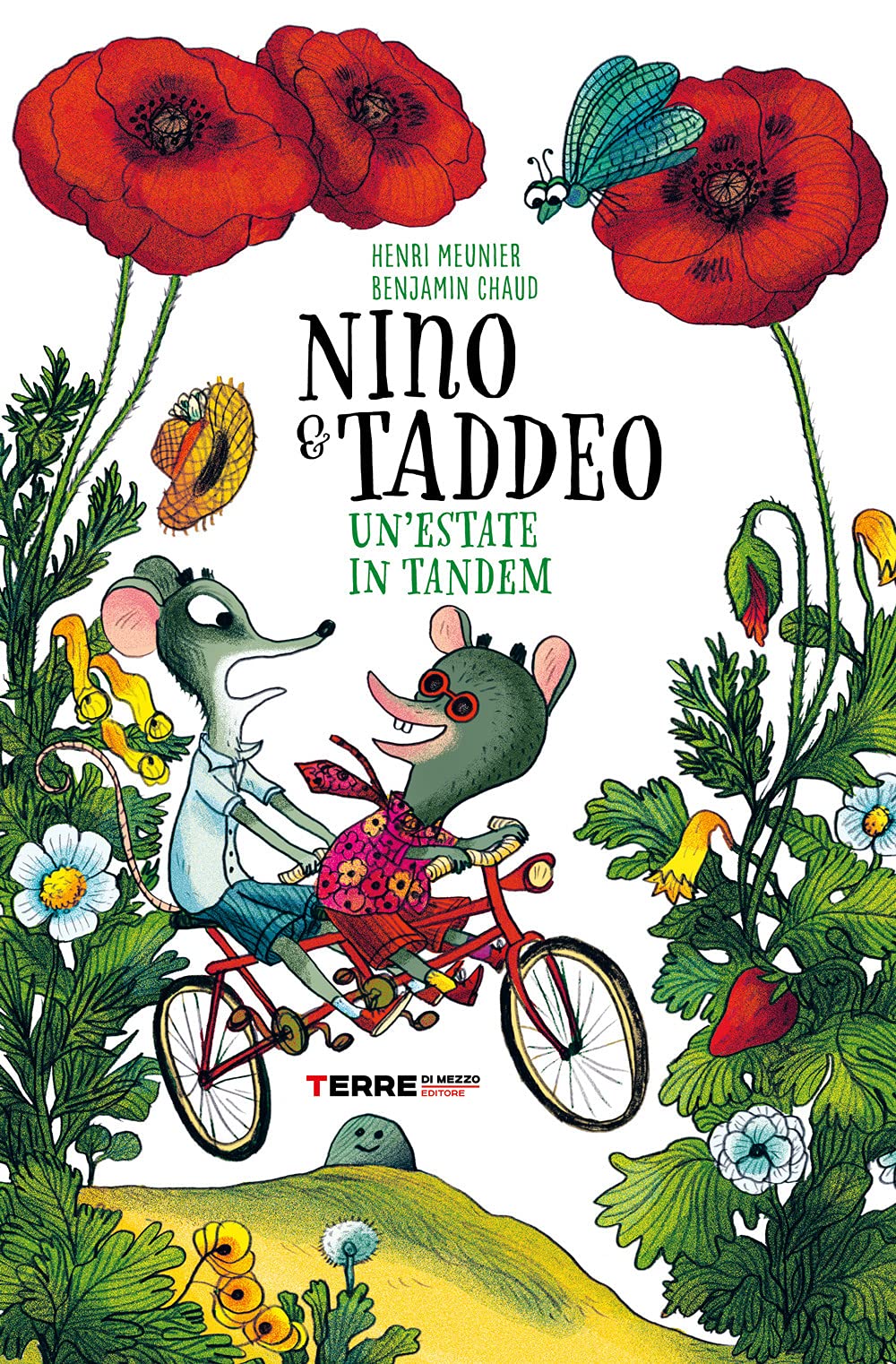 Un'estate in tandem. Nino & Taddeo. Ediz. a colori book