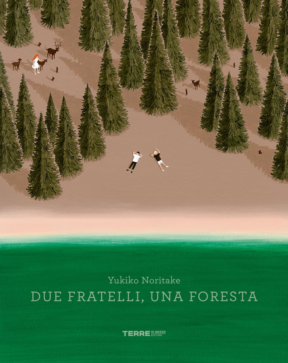 Due fratelli, una foresta. Ediz. a colori book