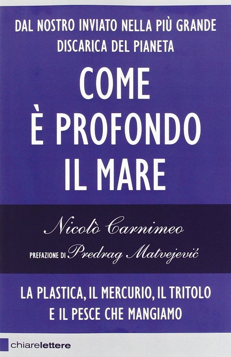 Come è profondo il mare. La plastica, il mercurio, il tritolo e il pesce che mangiamo book