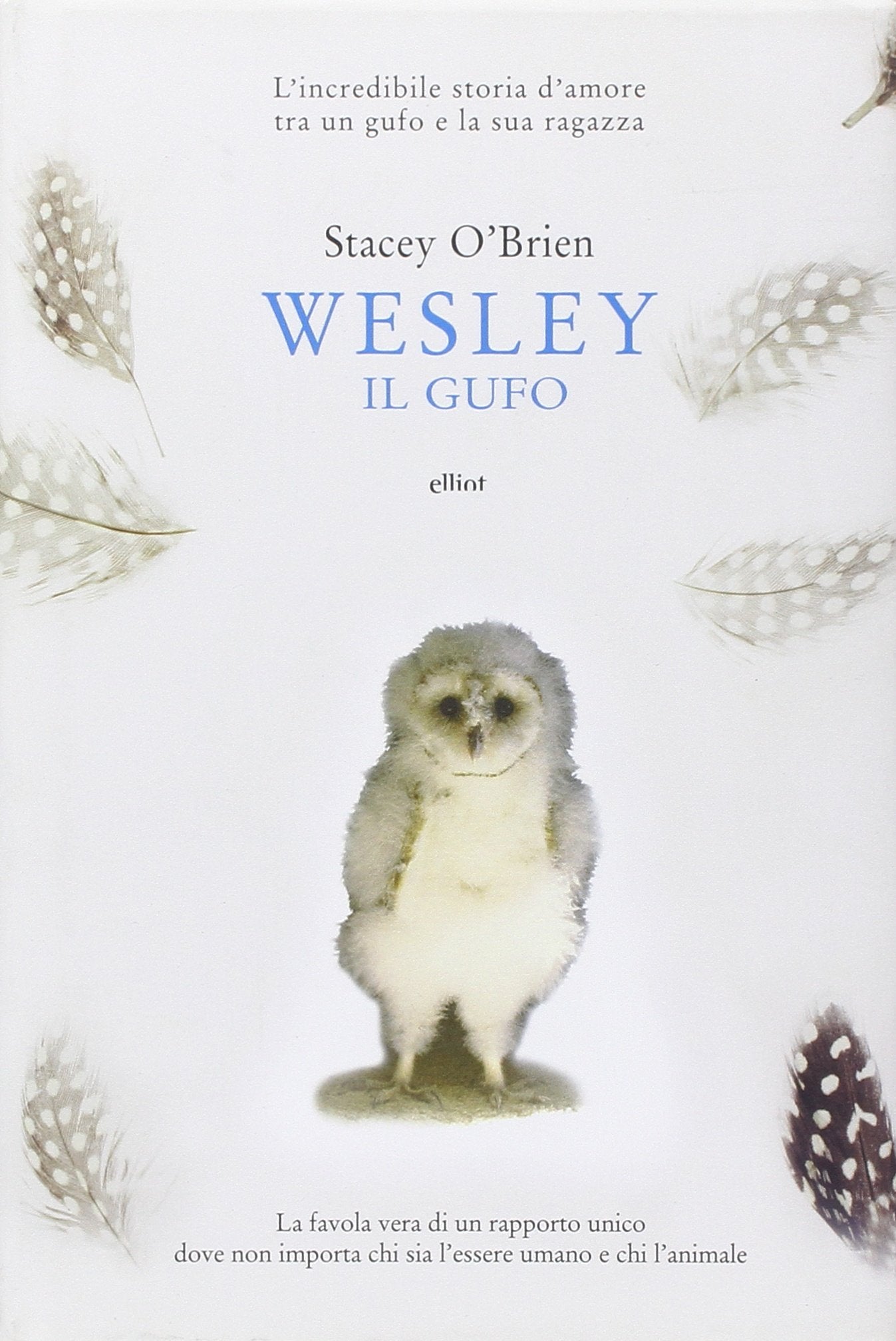 Wesley il gufo. L'incredibile storia d'amore tra un gufo e la sua ragazza book