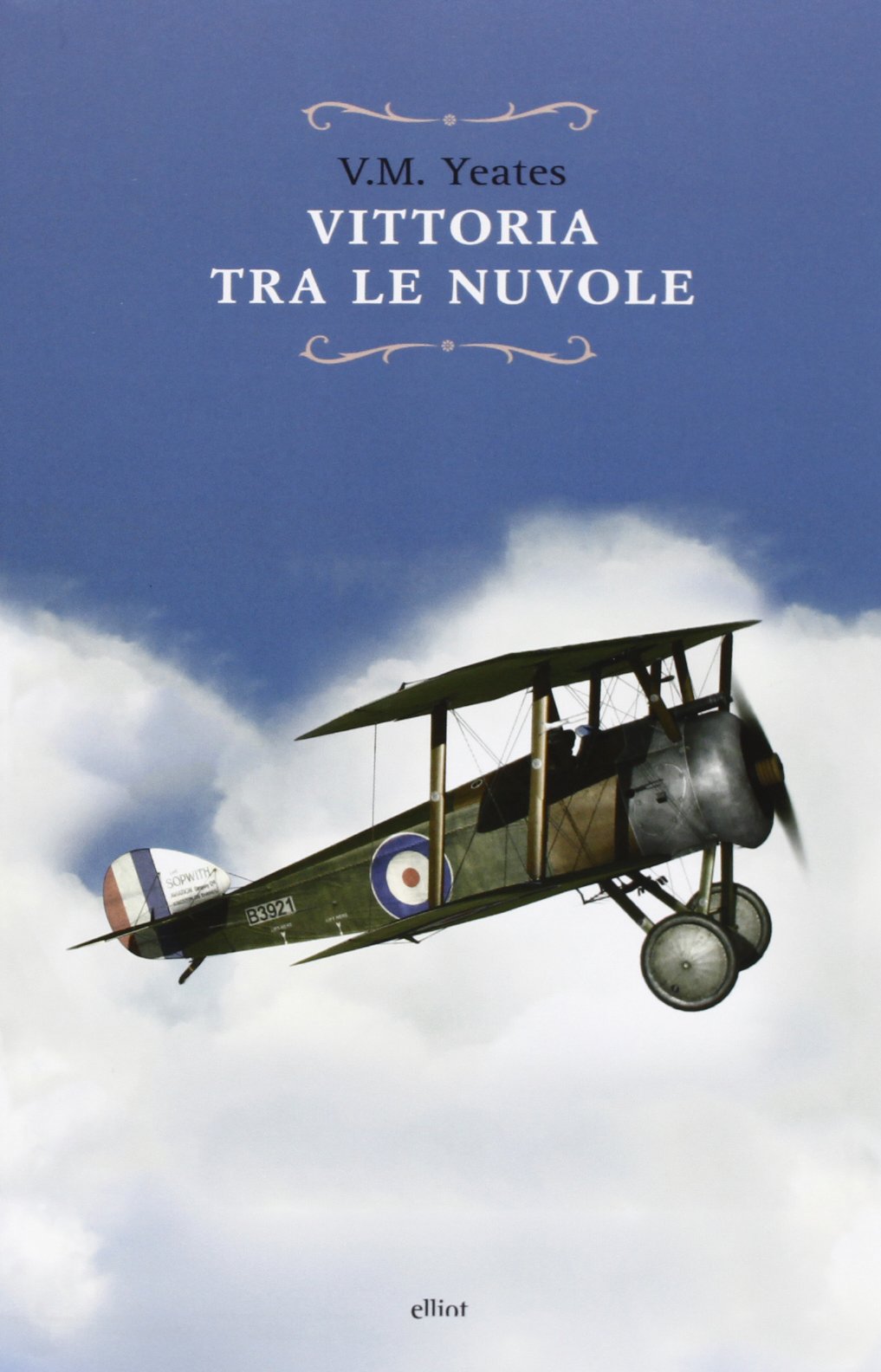 Vittoria tra le nuvole book