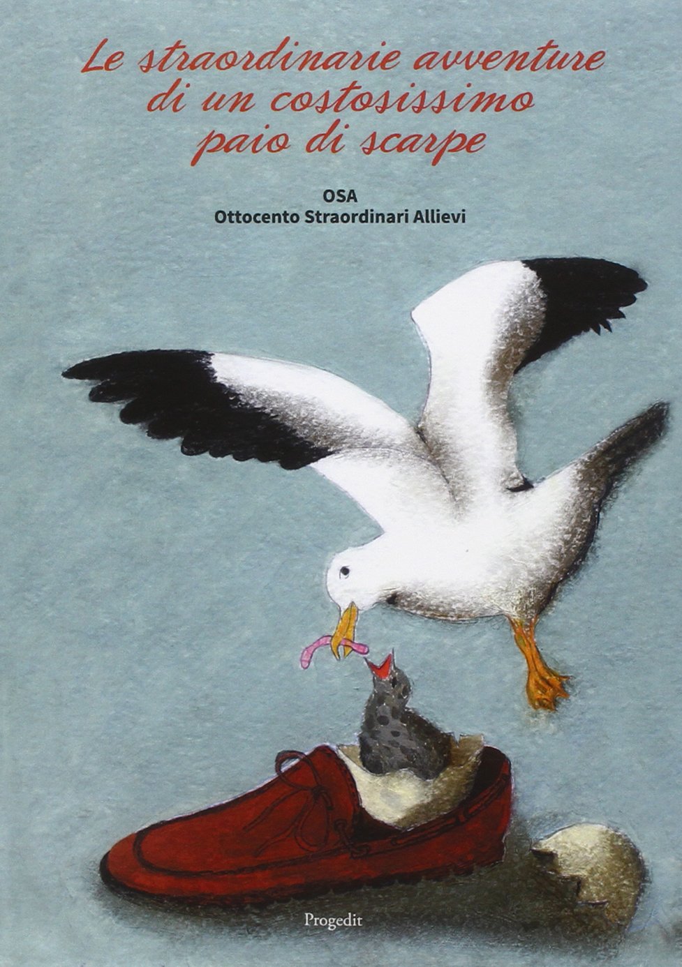 Le straordinarie avventure di un costosissimo paio di scarpe book