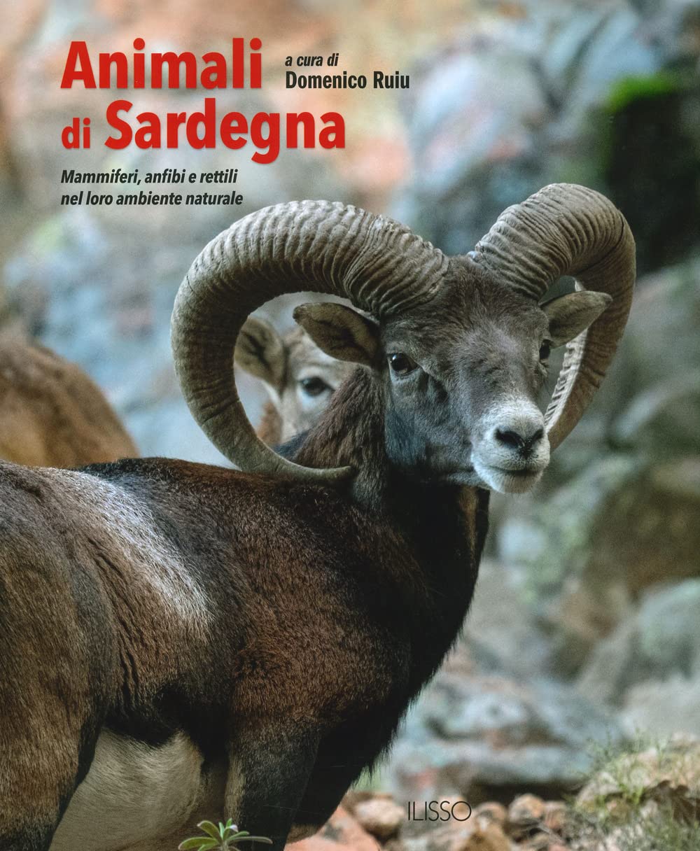 Animali di Sardegna. Mammiferi, anfibi e rettili nel loro ambiente naturale. Ediz. a colori book