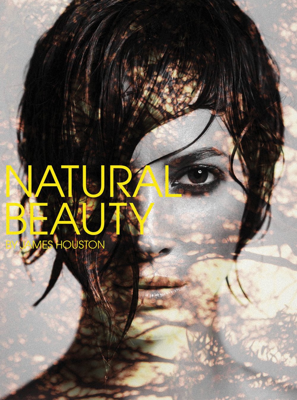 Houston, J:  Natural Beauty Film, Art & Culture