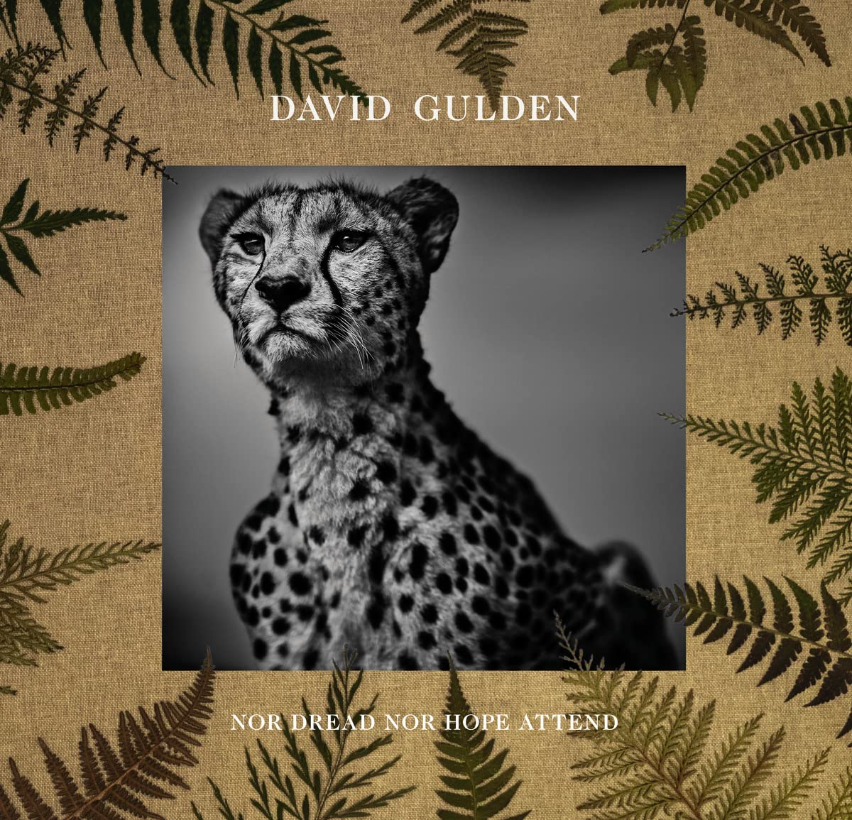 David gulden nor dread nor hope attend: photographs from the plains of africa /anglais book