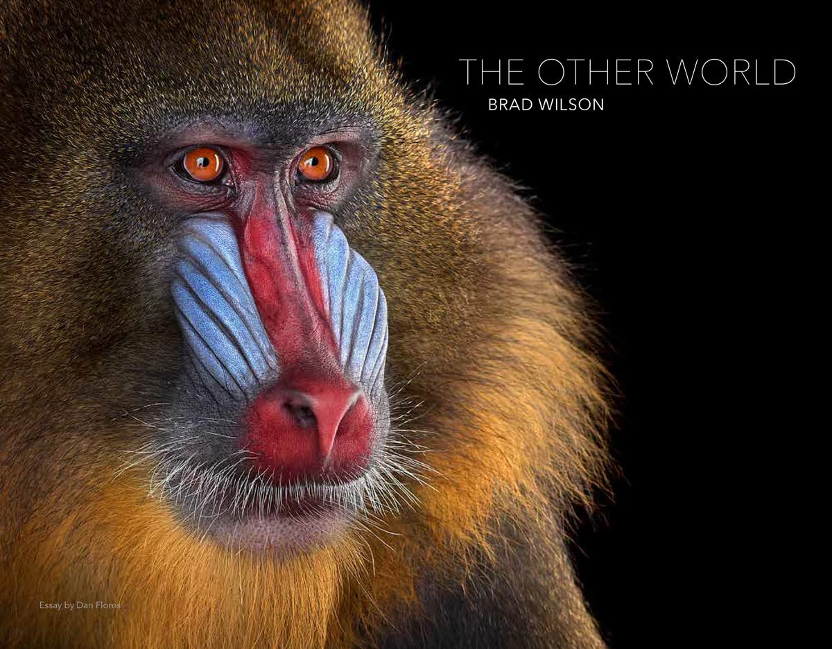 The Other World: Animal Portraits Computer Science