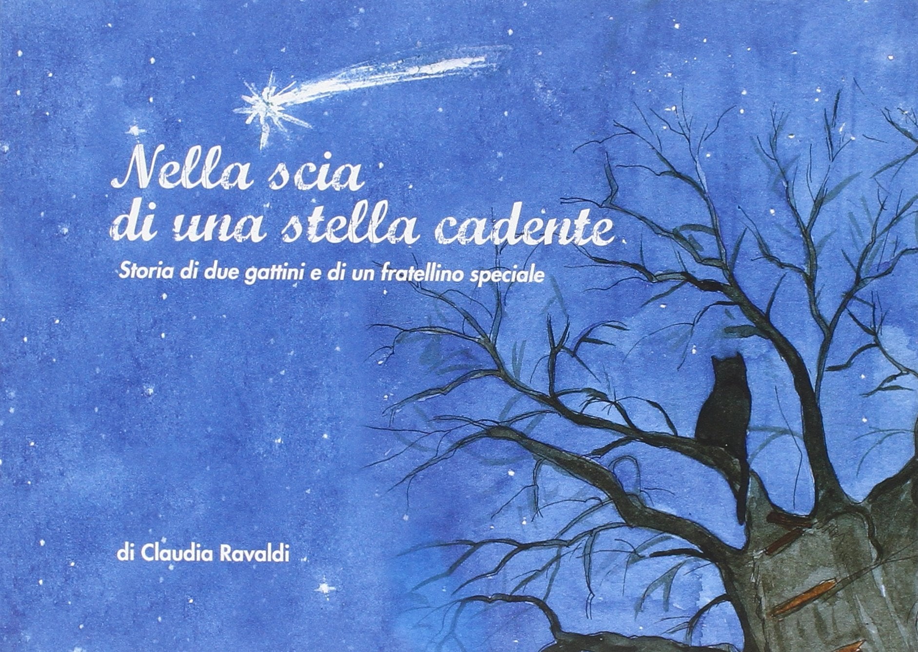 Nella scia di una stella cadente. Storia di due gattini e di un fratellino speciale. Ediz. illustrata book