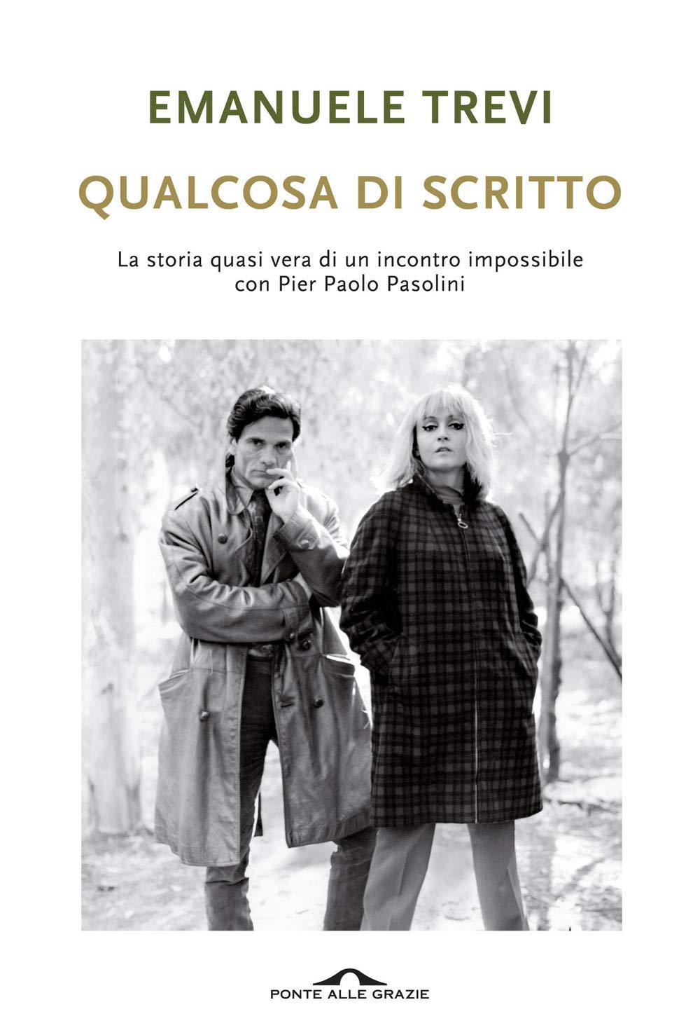 Qualcosa di scritto (Romanzi) Contemporary literature