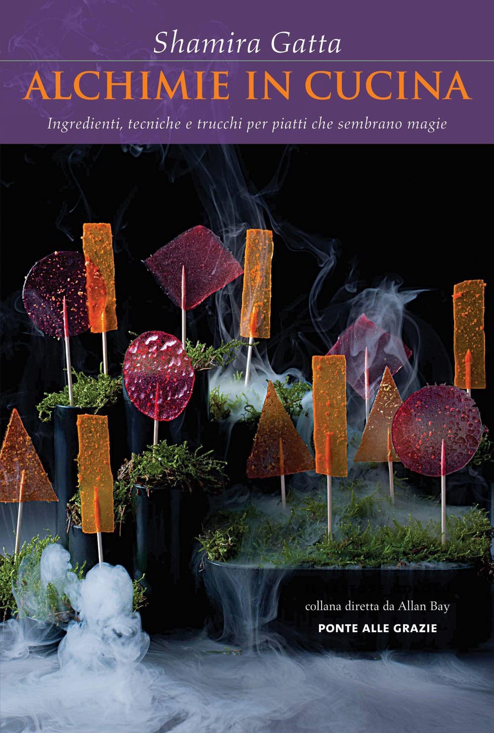 Alchimie in cucina book