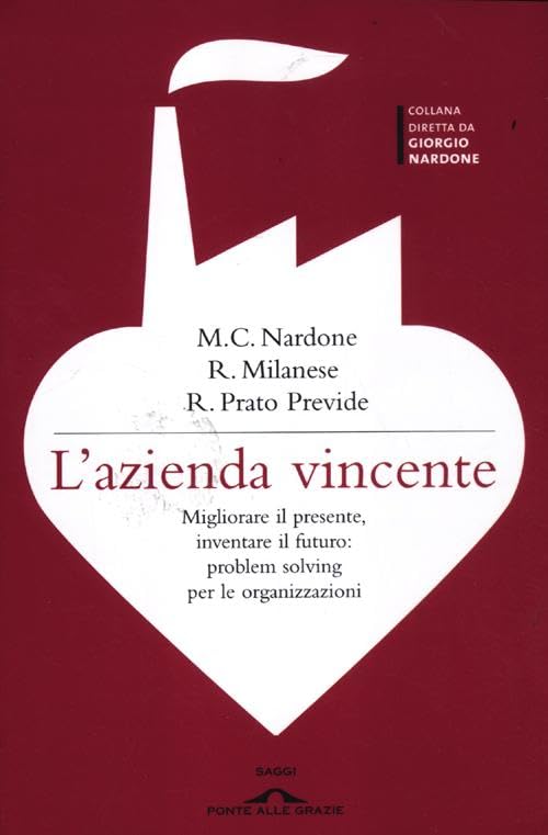 L'azienda vincente. Migliorare il presente, inventare il futuro: problem solving per le organizzazioni book
