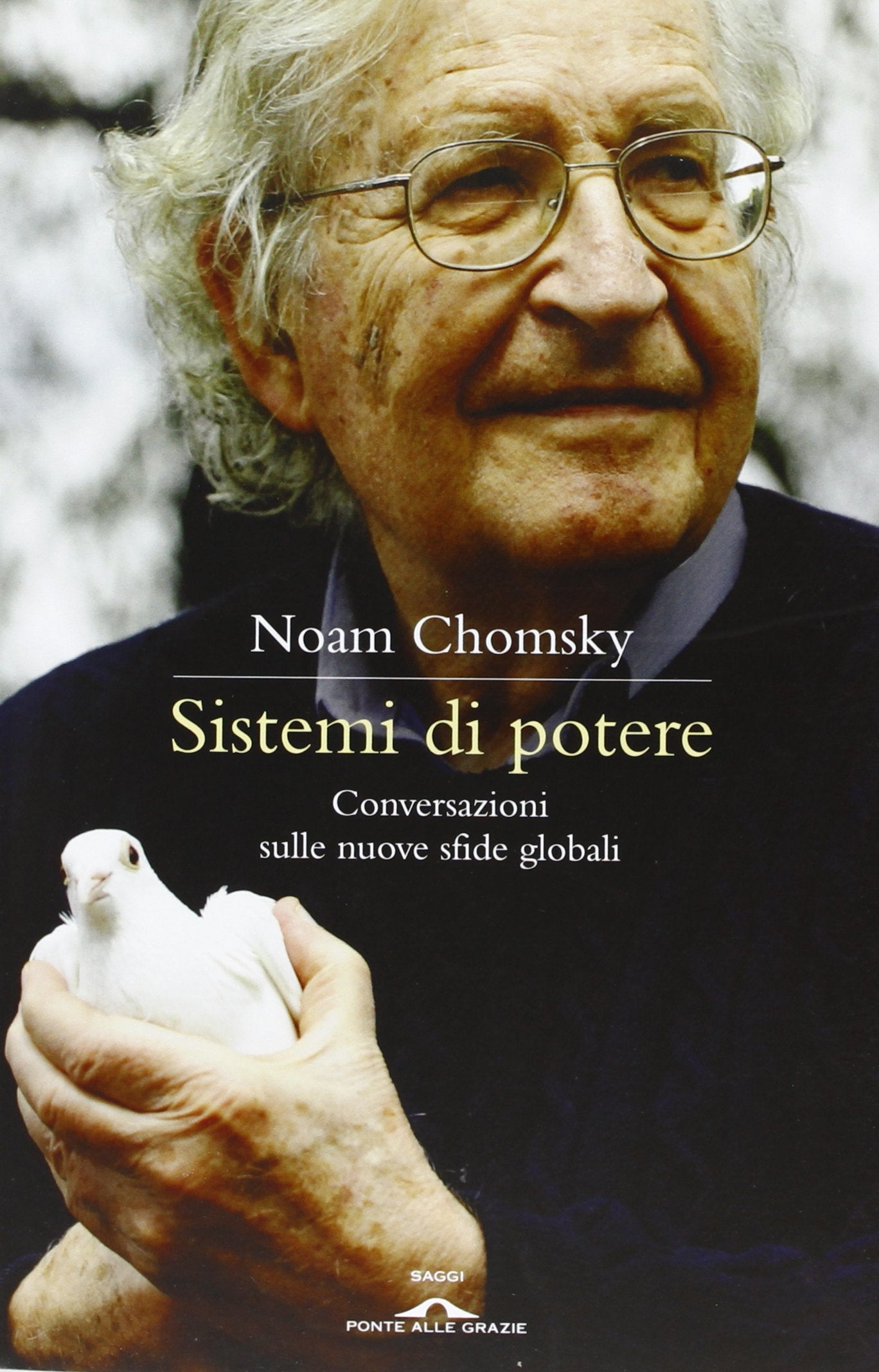 Sistemi di potere. Conversazioni sulle nuove sfide globali book
