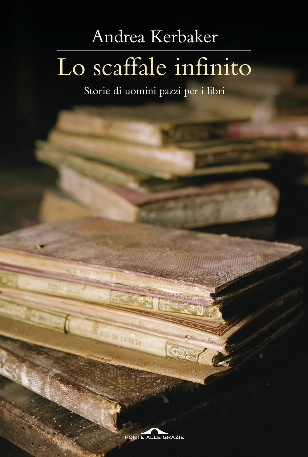 Lo scaffale infinito. Storie di uomini pazzi per i libri book