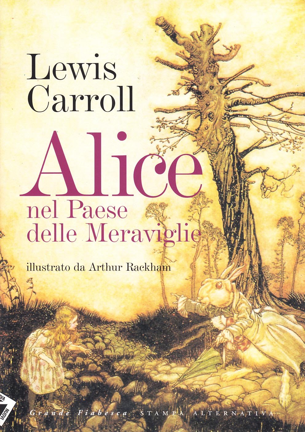Alice nel paese delle meraviglie. Ediz. illustrata book