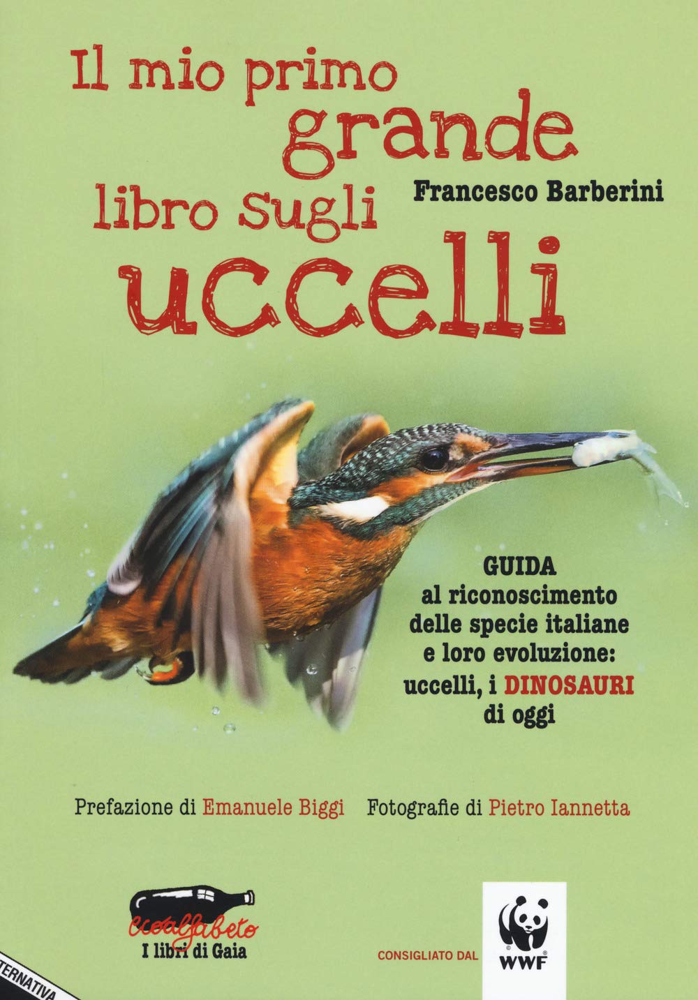 Il mio primo grande libro sugli uccelli. Guida al riconoscimento delle specie italiane e loro evoluzione: uccelli, i dinosauri di oggi (Ecoalfabeto. I libri di Gaia) Pets