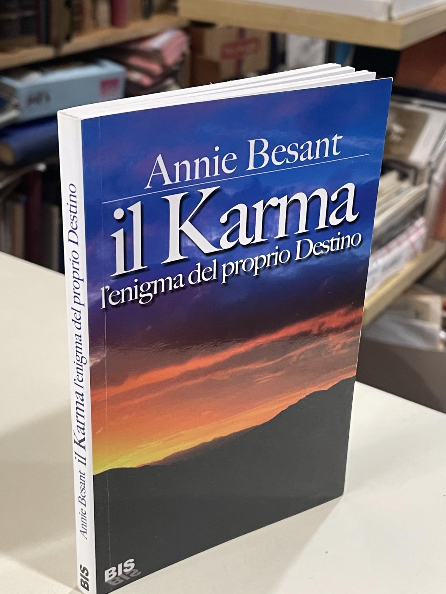 karma. L'enigma del proprio destino book