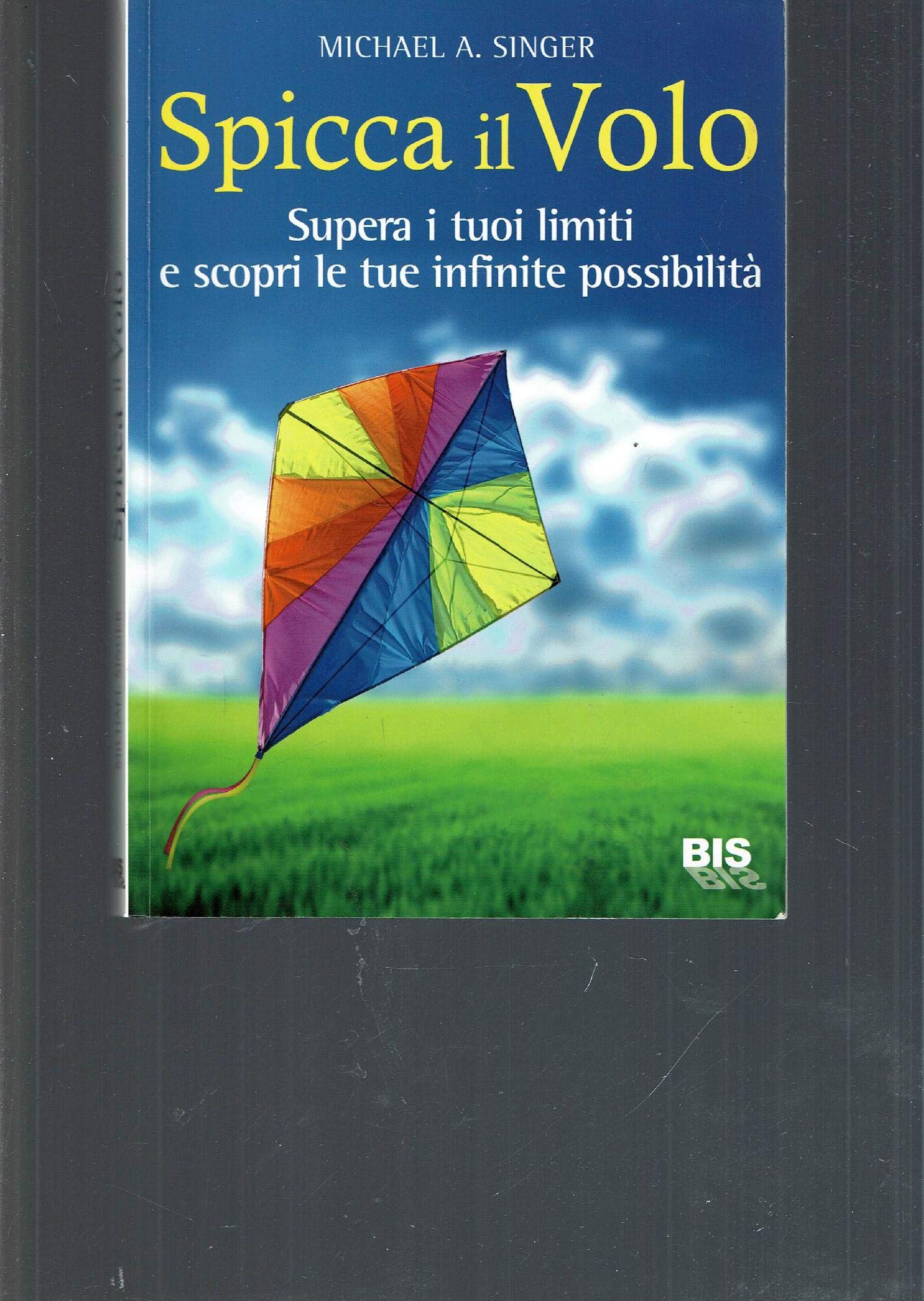 Spicca il volo. Supera i tuoi limiti e scopri le tue infinite possibilità book