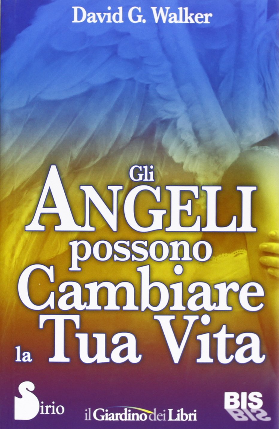 Gli angeli possono cambiare la tua vita (Le parole dell'amore) Religion & Esotericism