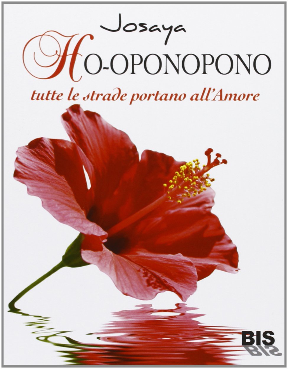 Ho-oponopono. Tutte le strade portano all'amore (Spiritualità) Religion & Esotericism