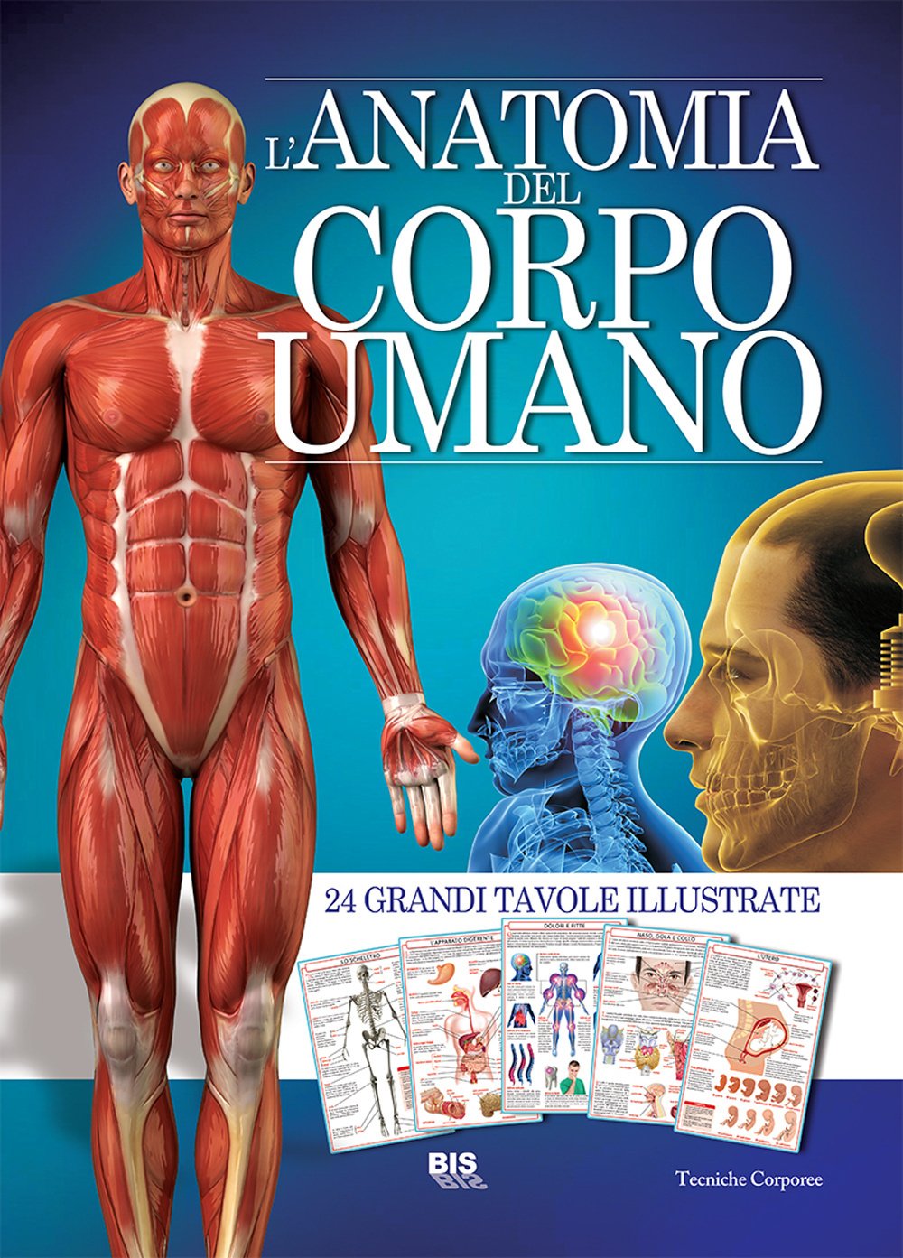 L' anatomia del corpo umano Medicine Books