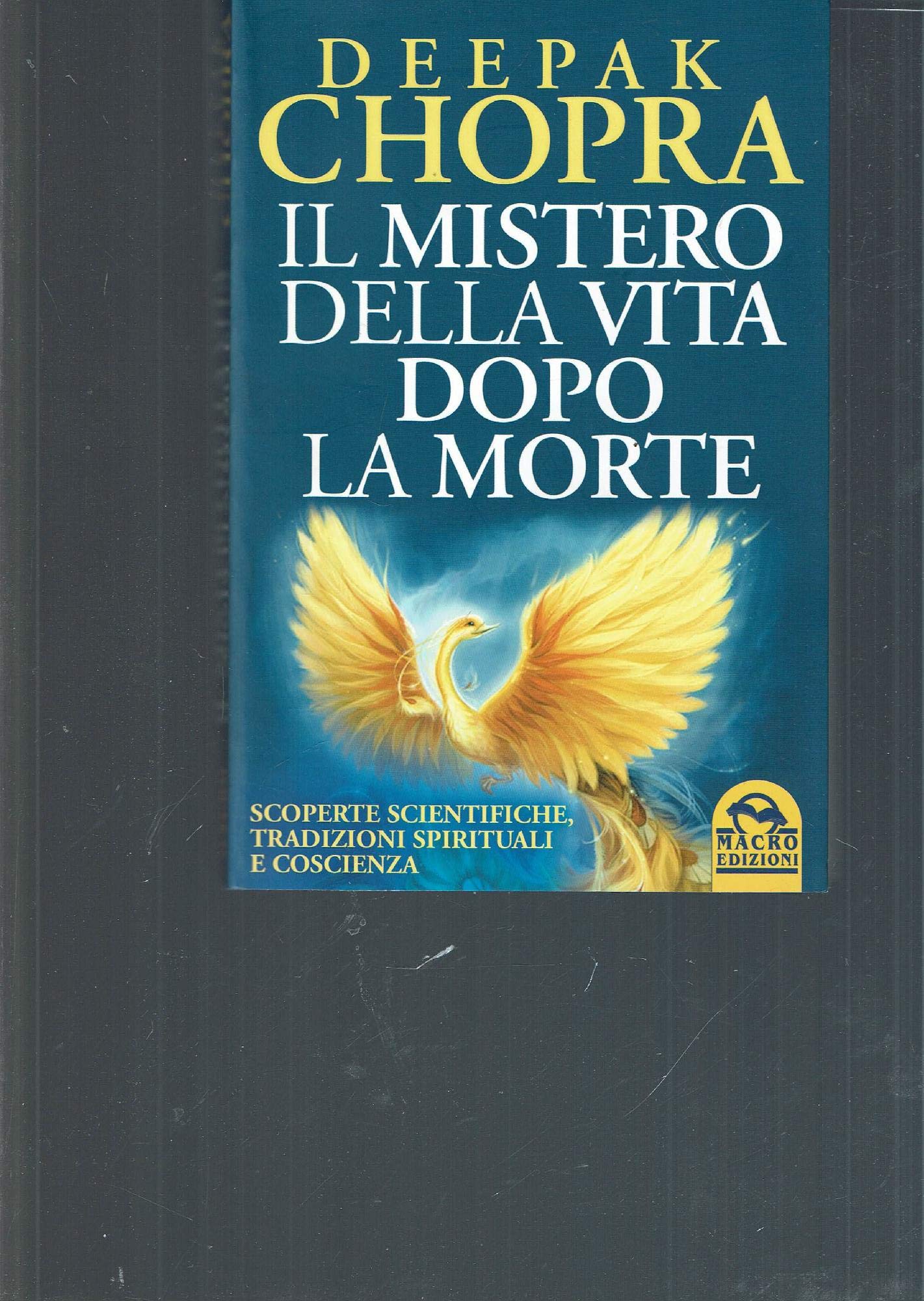 Il mistero della vita dopo la morte. Scoperte scientifiche, tradizioni spirituali e coscienza book