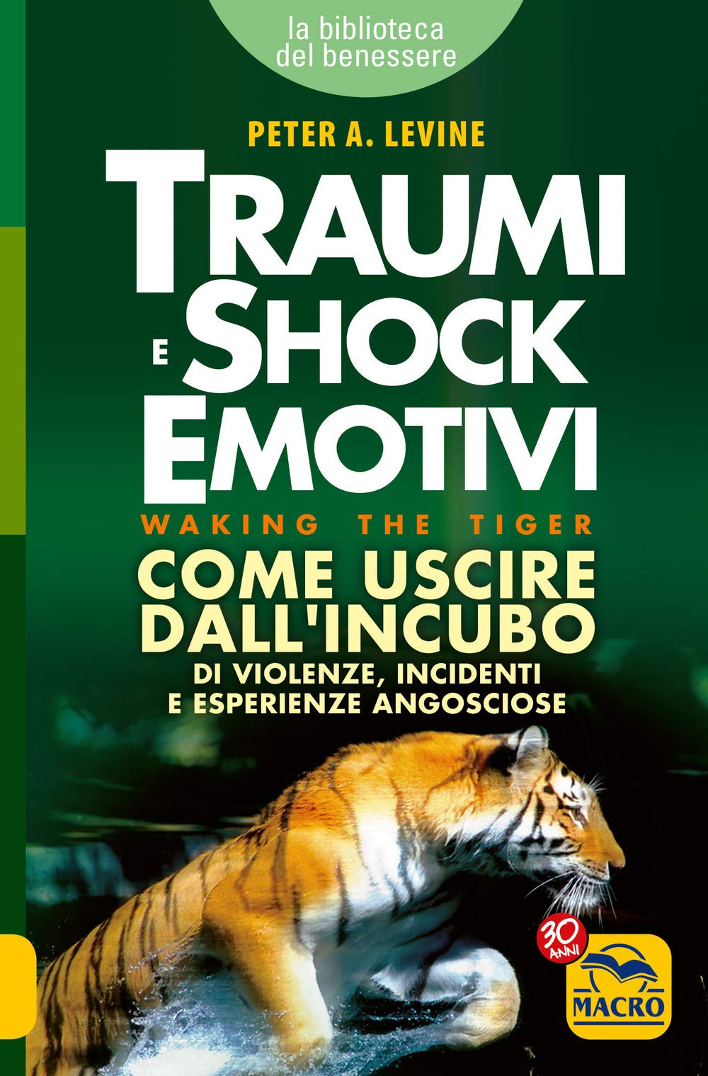 Traumi e shock emotivi. Come uscire dall'incubo di violenze, incidentie esperienze angosciose (La biblioteca del benessere) Business, Finance & Career