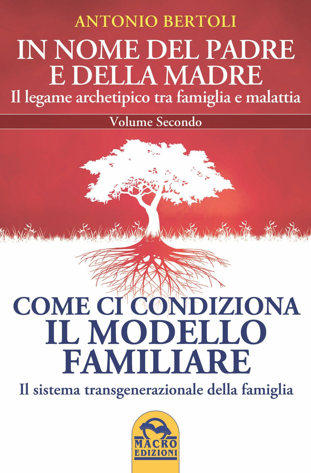 In nome del padre e della madre. Il legame archetipico tra famiglia e malattia. Come ci condiziona il modello familiare. Il sistema transgenerazionale della famiglia (Vol. 2) book