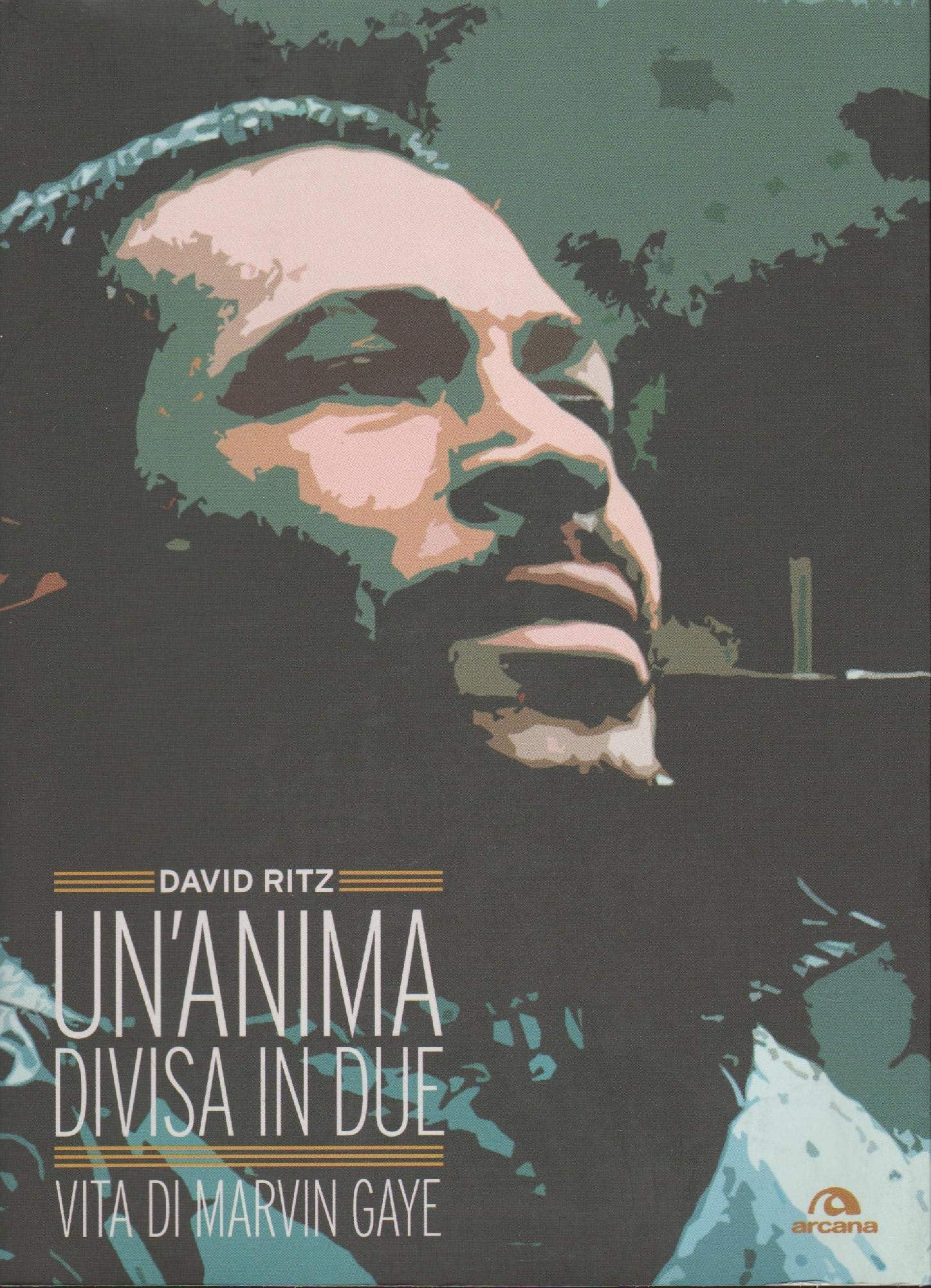 Un'anima divisa in due. Vita di Marvin Gaye book