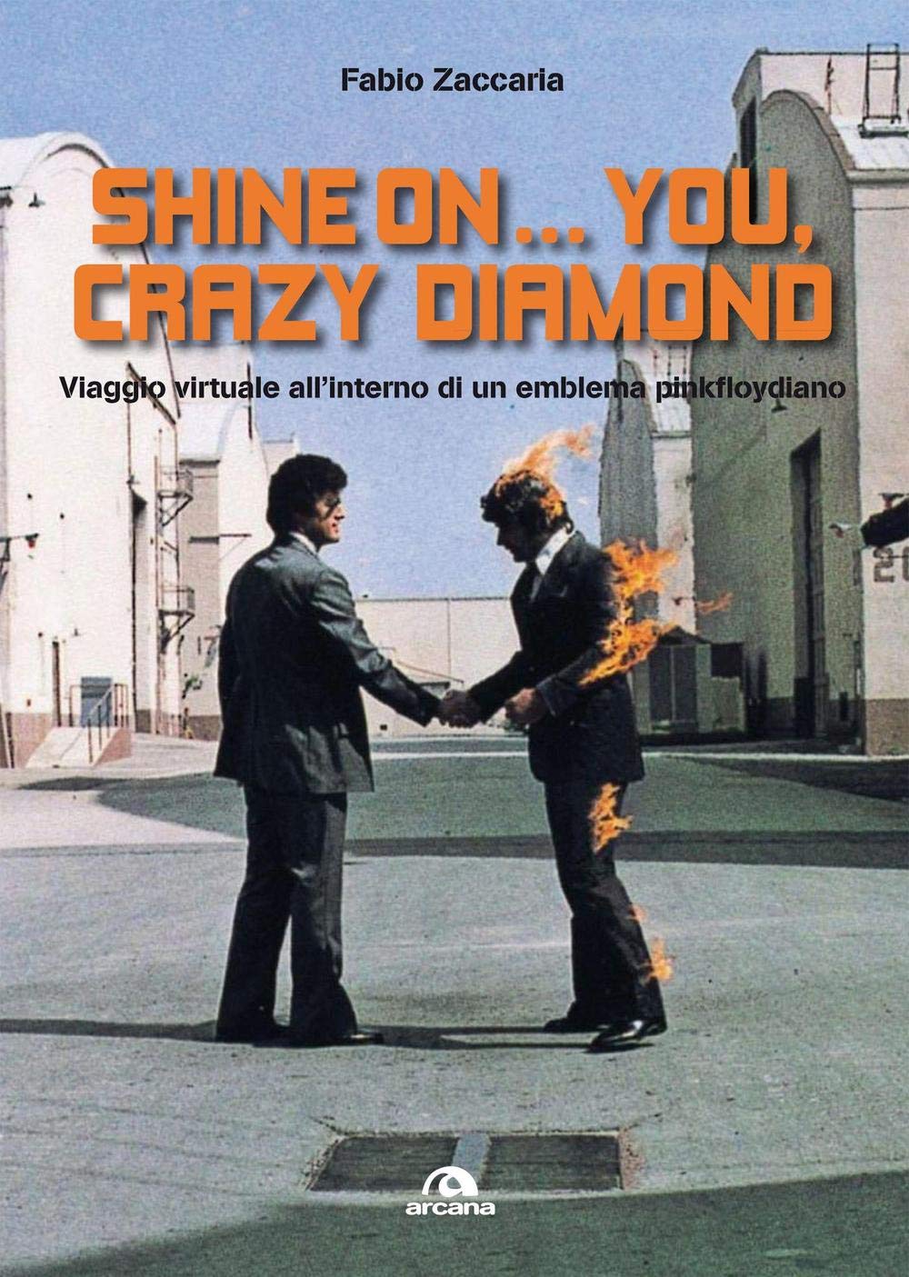 Shine on... you, crazy diamond. Viaggio virtuale all'interno di un emblema pinkfloydiano Arts & Music