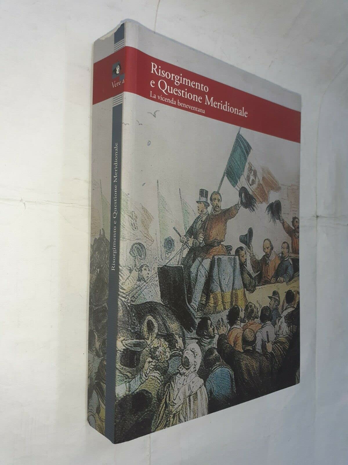 Risorgimento e questione meridionale. La vicenda beneventana book
