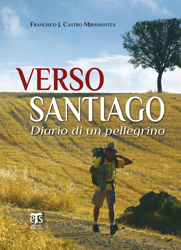 Verso Santiago: Diario Di Un Pellegrino book
