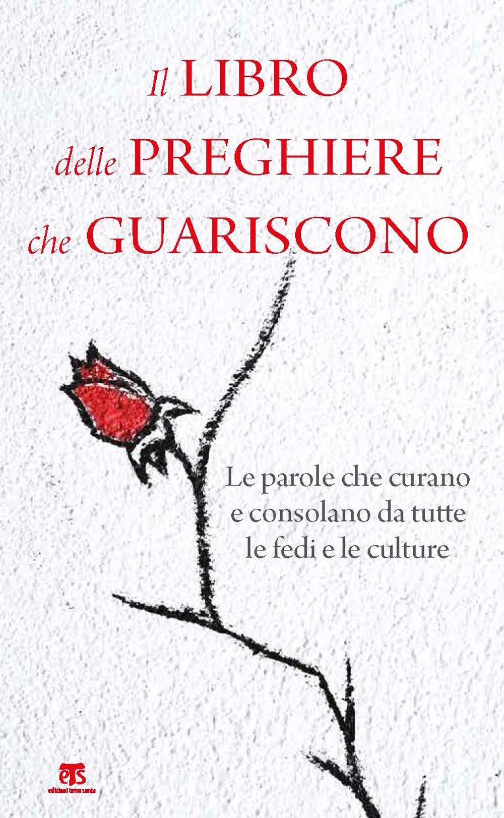 Il Libro Delle Preghiere Che Guariscono: Le Parole Che Curano E Consolano Da Tutte Le Fedi E Le Culture (Marana tha) Religion & Esotericism