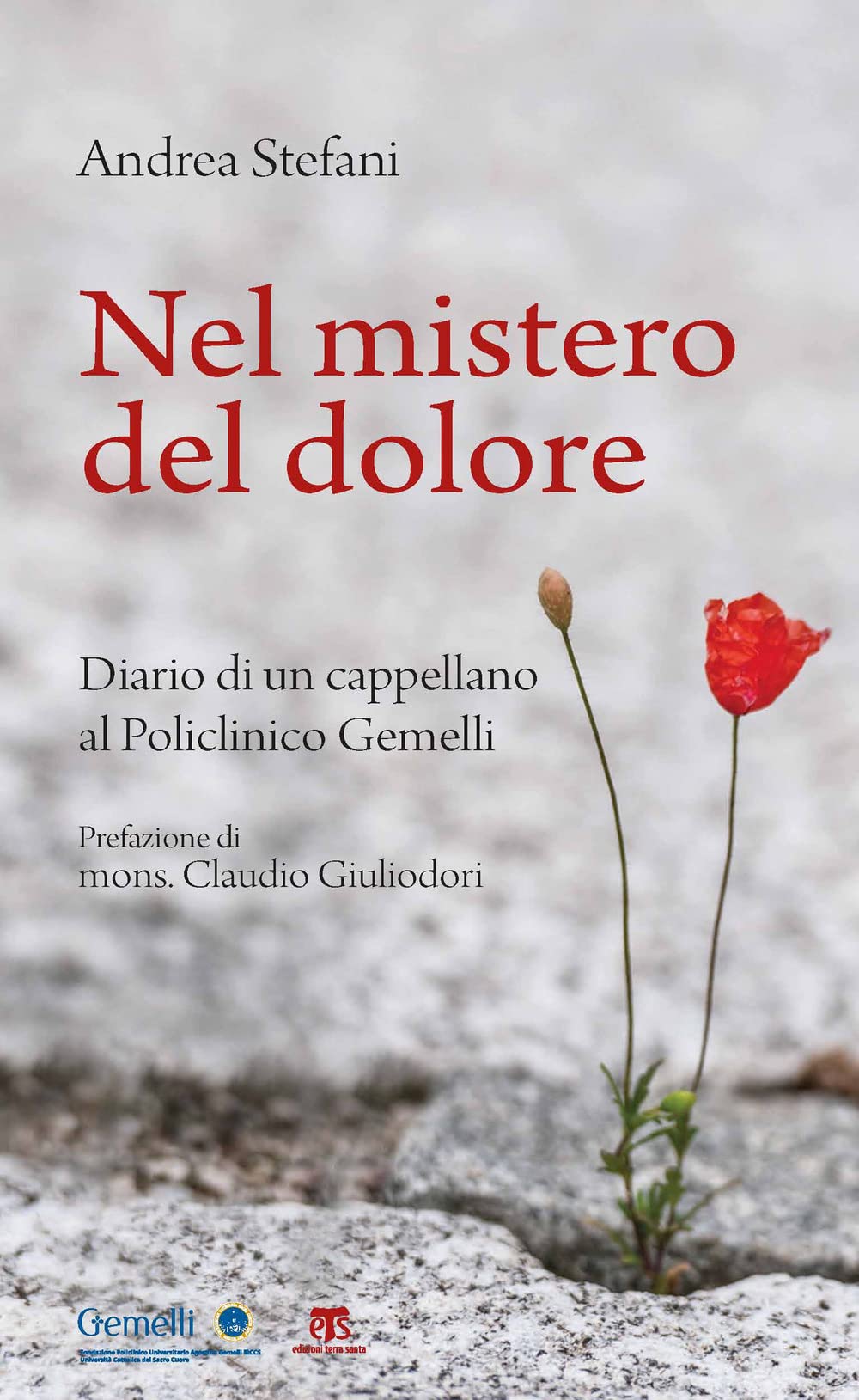 Nel mistero del dolore. Diario di un cappellano al Policlinico Gemelli Religion & Esotericism