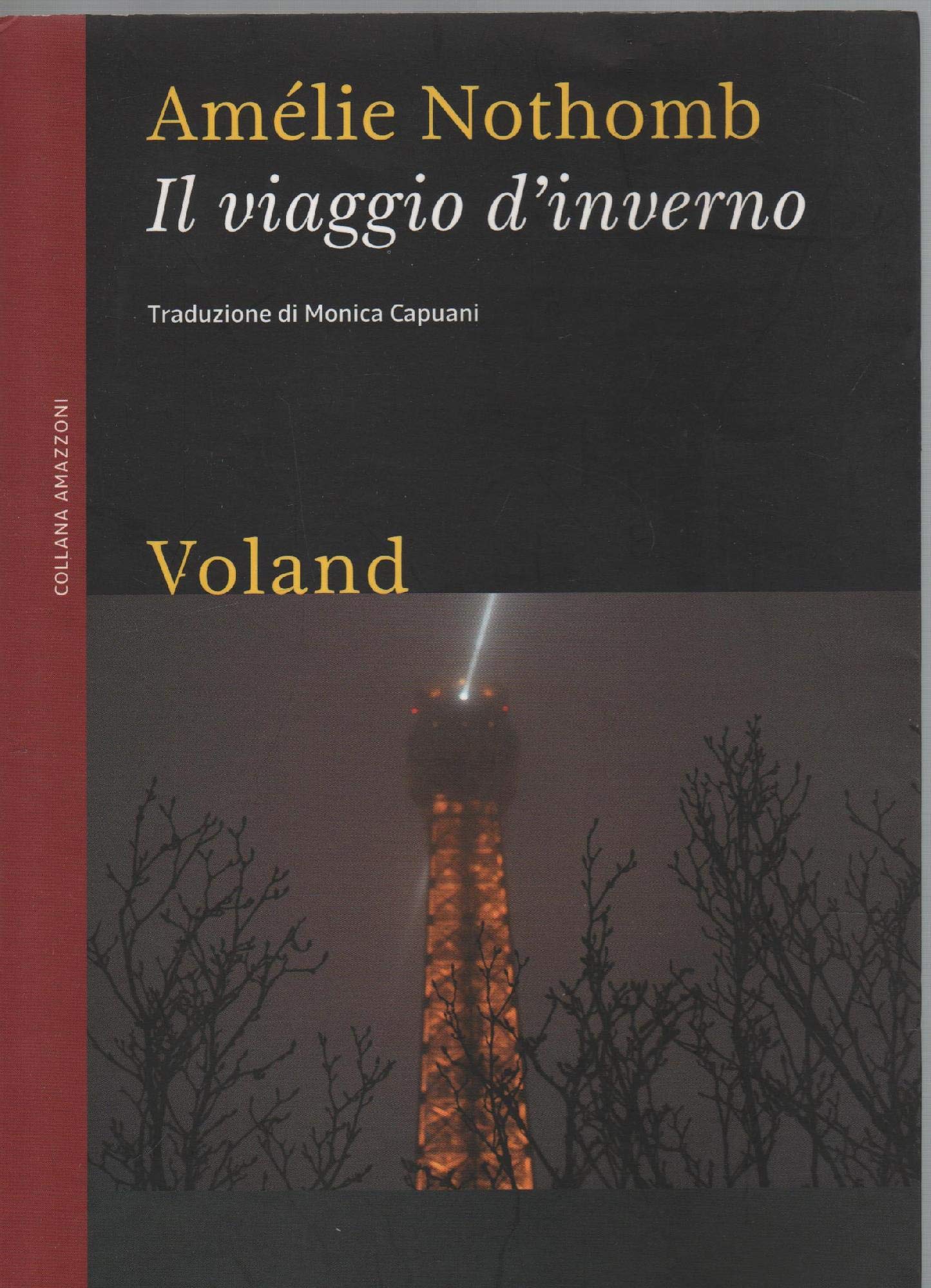 Il viaggio d'inverno (Amazzoni) Contemporary literature