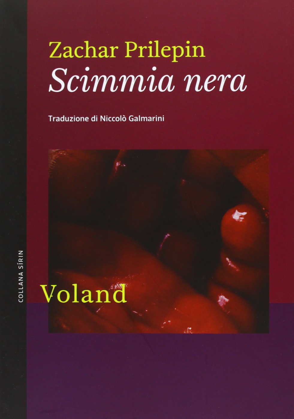 Scimmia nera Contemporary literature Books