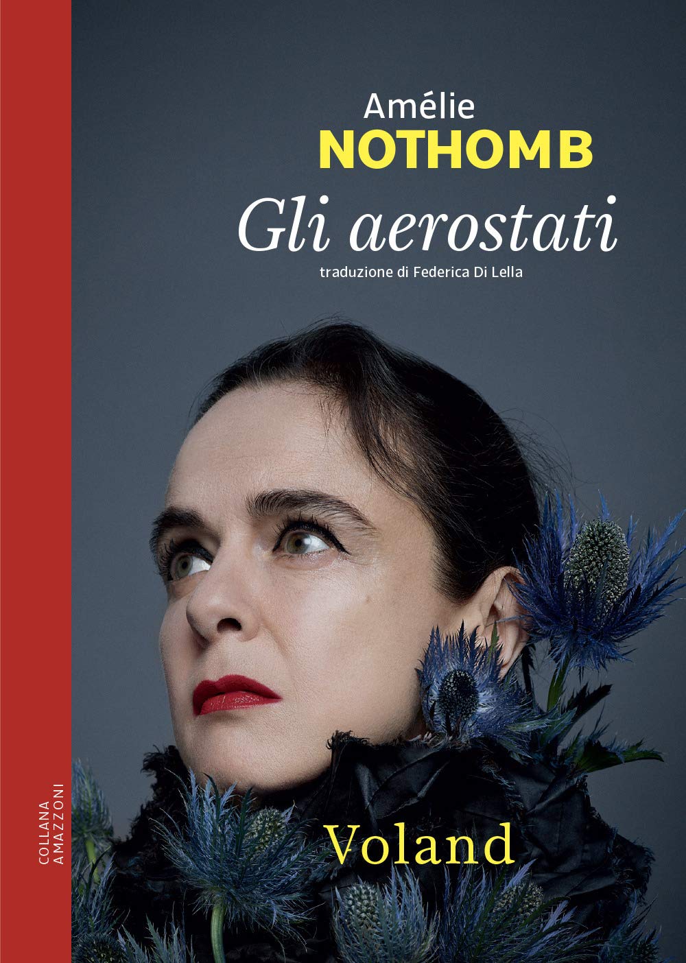 Gli aerostati (Amazzoni) Contemporary literature