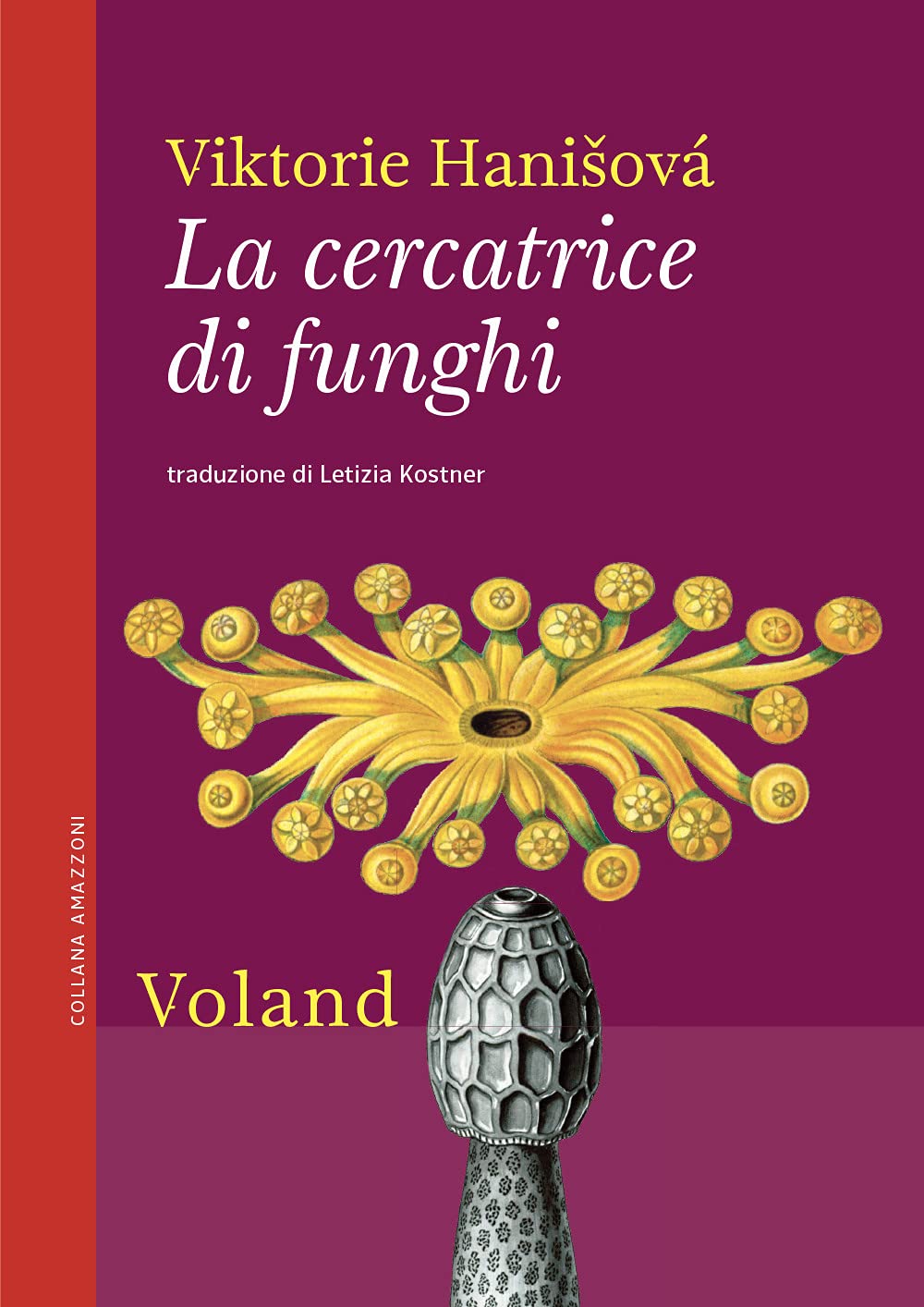La cercatrice di funghi (Amazzoni) Books