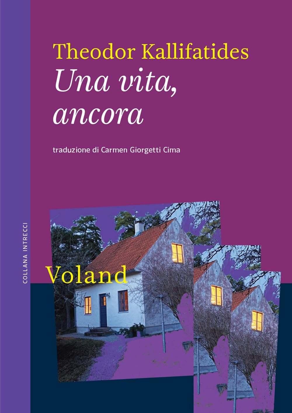 Una vita, ancora (Intrecci) Contemporary literature